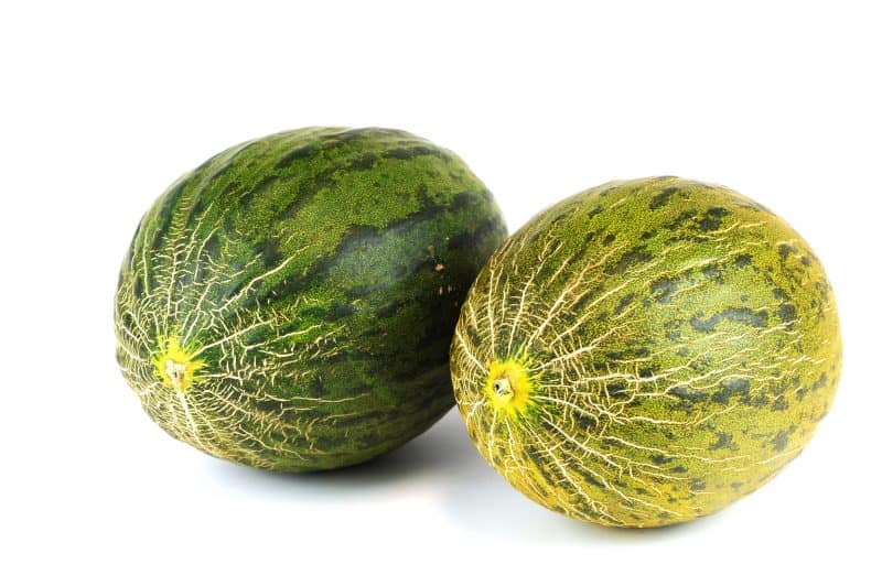 Bild på två meloner som får representera bröst
